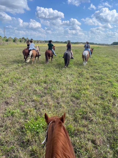 Miami: Horseback Riding - Frequently Asked Questions