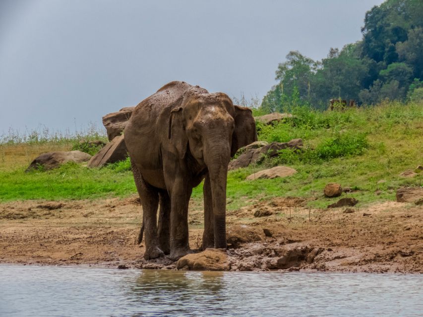 Minneriya: Minneriya National Park Private Safari - Frequently Asked Questions