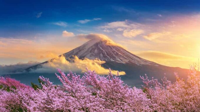 Mount Fuji: Exclusive Private Car Tour - Booking Information