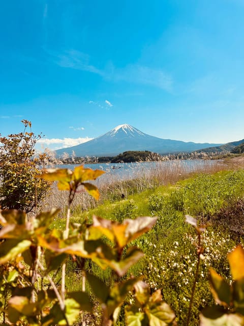 Mount Fuji Full Day Private Trip With English Speak Driver - Contact and Support Options