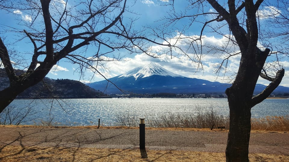 Mount Fuji, Hakone and Lake Ashi Cruise Day Trip - Nearby Destinations