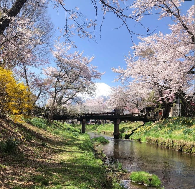 Mount Fuji One Day Private Tour by Car With English Driver - Customer Reviews