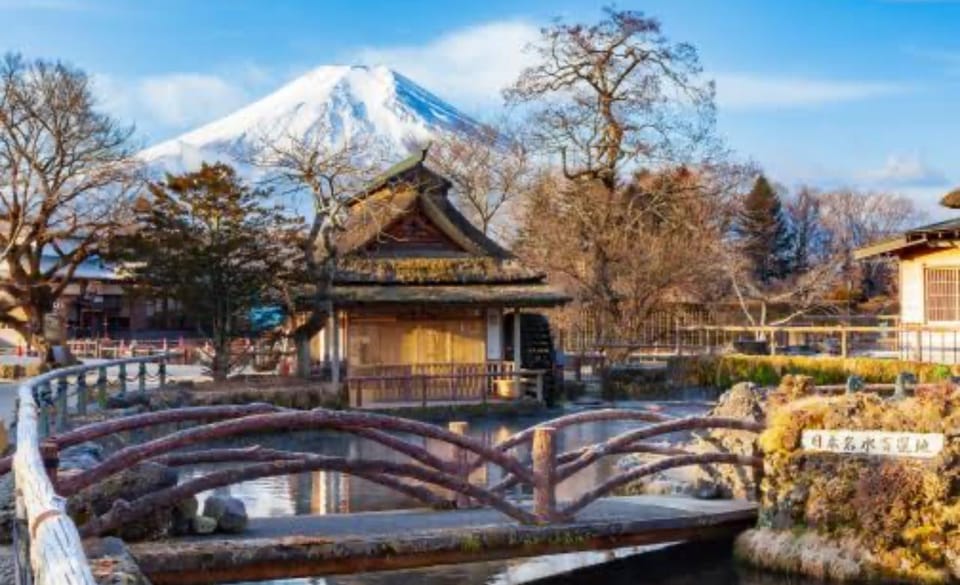 Mount Fuji Private Day Trip Tours - Booking Information