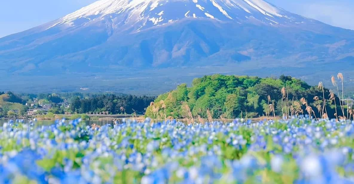 Mount Fuji,Hakone Private Tour by Car With Pick up - Tips for a Great Tour