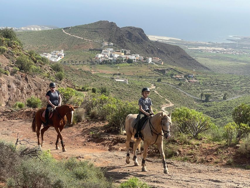 Mountain Panoramic Tour of 2 Hours - Group Size and Language Options