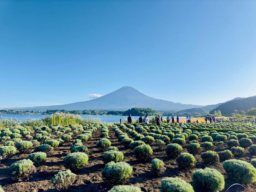 Mt. Fuji and Hakone Lake Ashi Day Tour With Pickup & Dropoff - Booking and Cancellation Policy