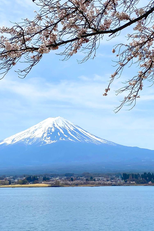 Mt Fuji: Full Day Private Tour From Tokyo by Luxury Vehicle - Scenic Spots and Photo Opportunities