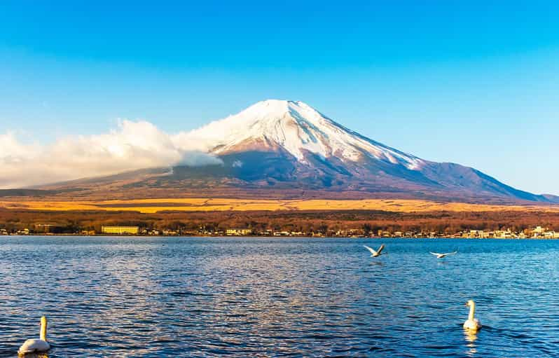 Mt.Fuji, Lake Kawaguchi &Yamanaka, Hot Spring Full-Day Tour - Frequently Asked Questions