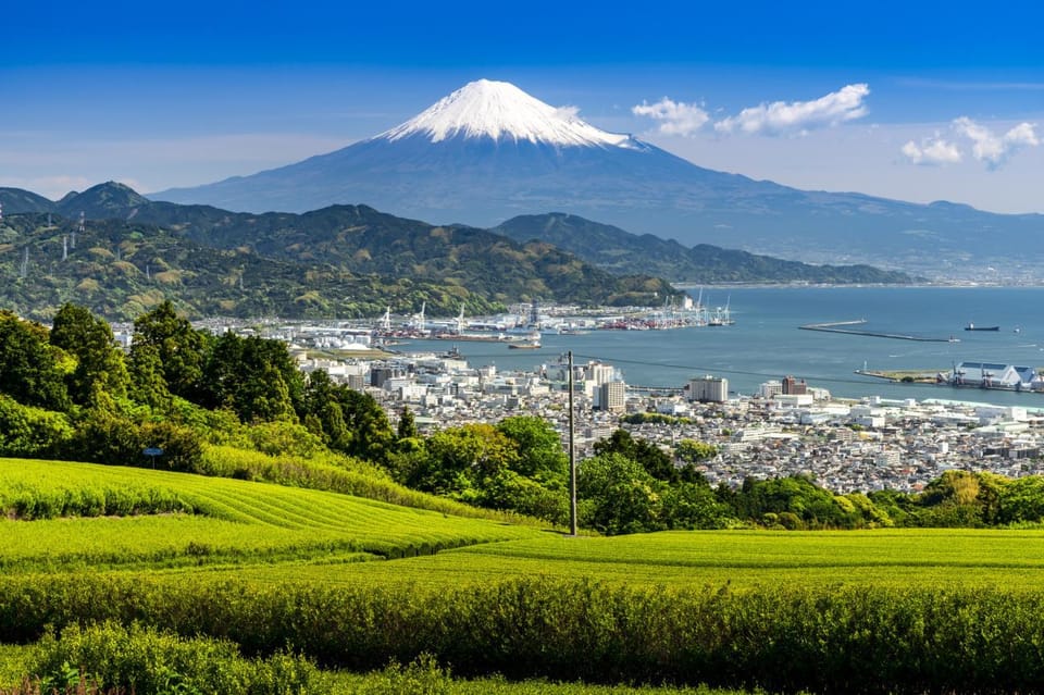 Mt Fuji Sightseeing Private Tour From Tokyo (English Driver) - Tips for a Great Experience