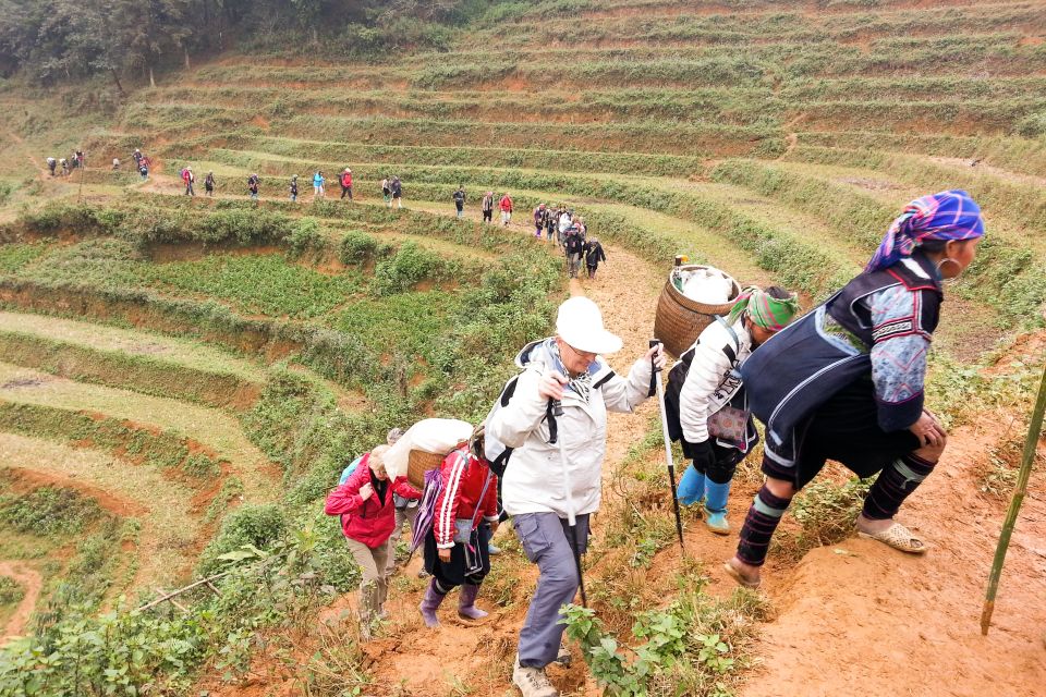 Muong Hoa Valley 2-Day Group Trek With Homestay - Why Choose This Trek