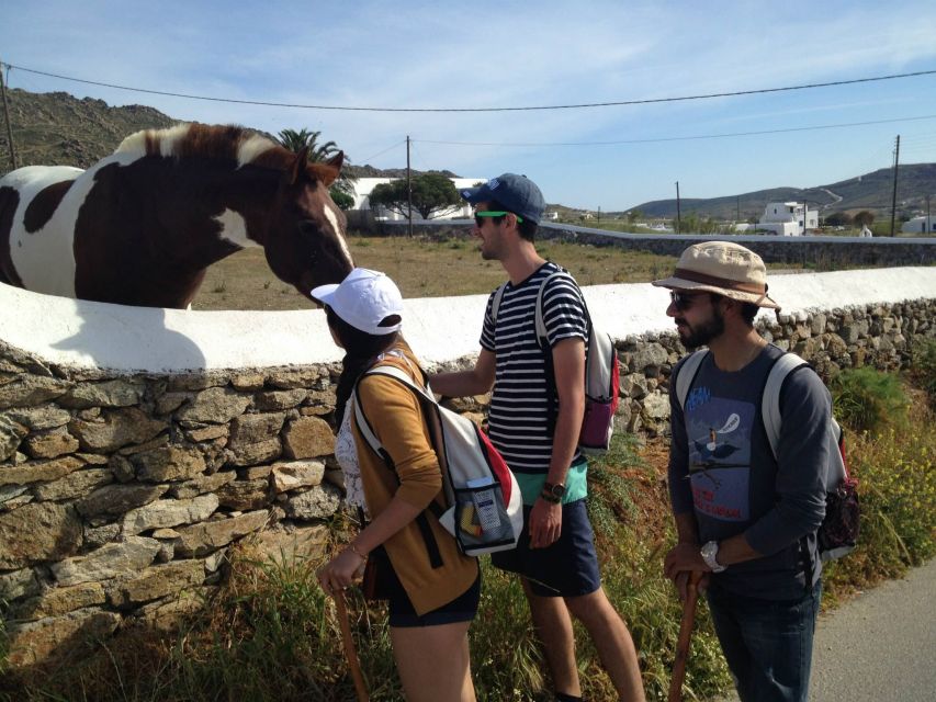 Mykonos Hiking Adventure - Service and Organization