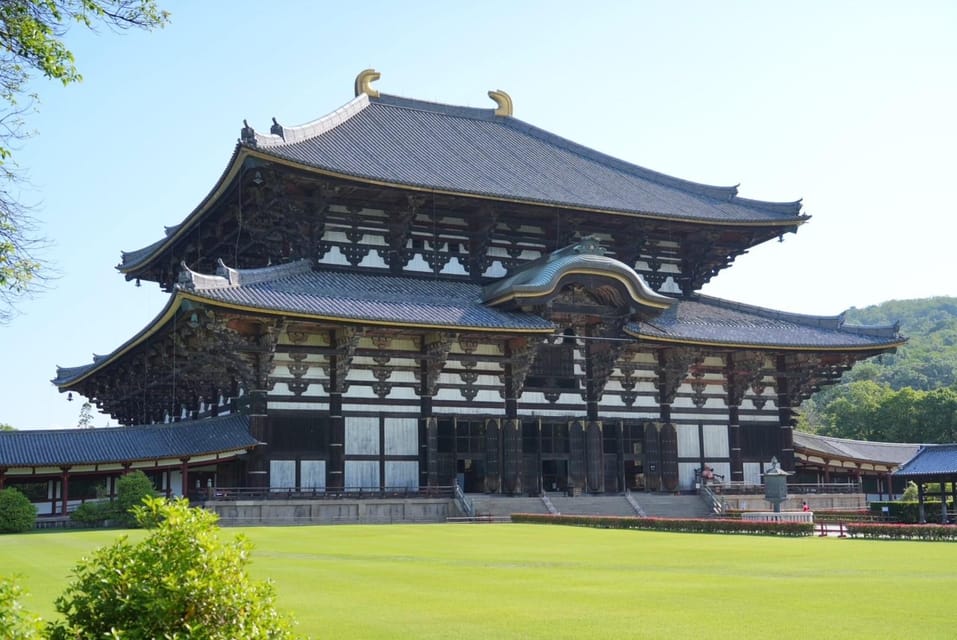 Nara Early Bird Tour (Kyoto Station Departure) - Recap