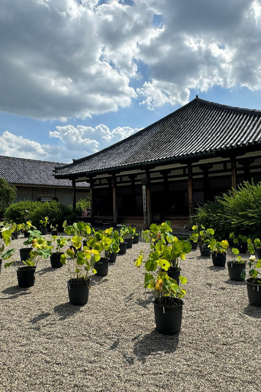 Nara: Explore Gangoji Temple and Naramachi in 90 Minutes - Frequently Asked Questions