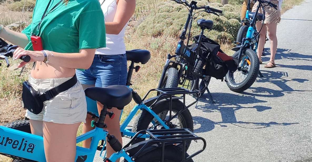 Naxos: E-Bike Guided Tour With Light Farmyard Lunch - Tips for a Great Experience