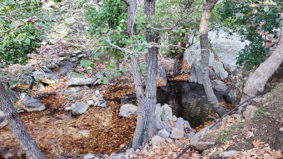 Naxos: West Coast Mountain Bike Trail To Ghost Town - Scenic Stops and Views