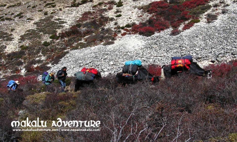 Nepal: Sherpani Col Trek - Trekking Challenges and Rewards