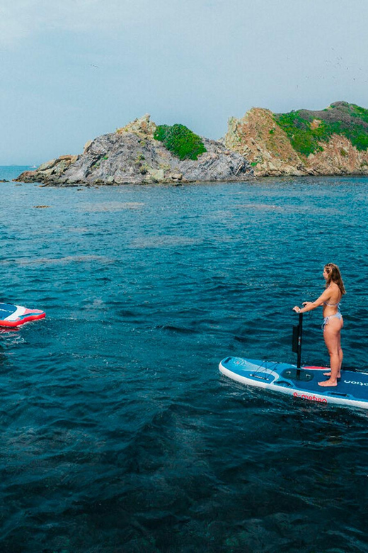 NEW ELECTRIC PADDLE SURF IN SANTA PONSA - Frequently Asked Questions