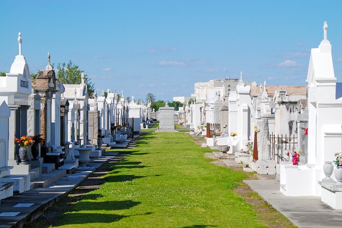 New Orleans Cemetery Tour - Accessibility and Comfort Options