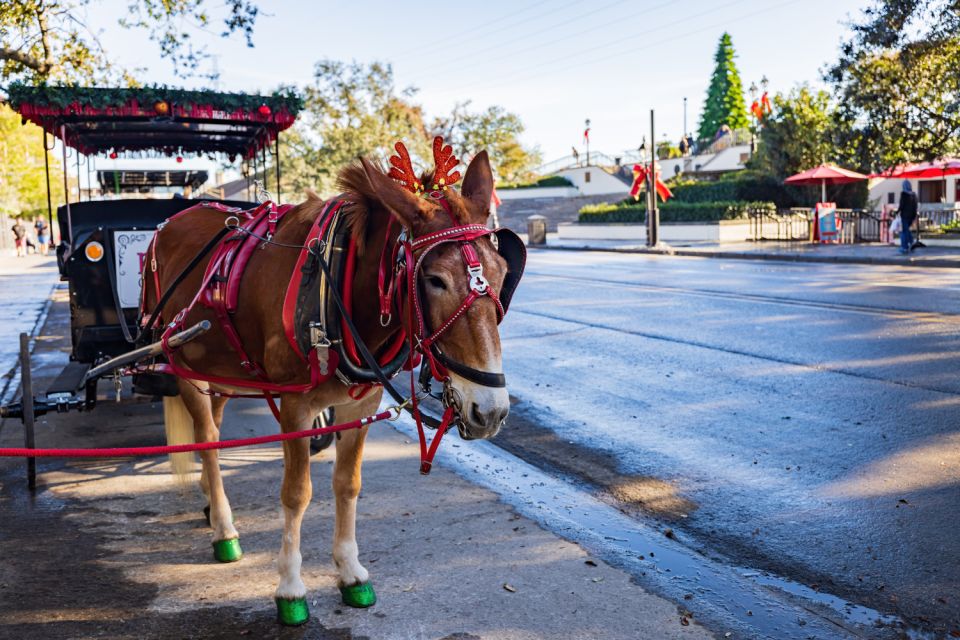 New Orleans Self-Guided Walking Audio Tour - Flexible and Self-Paced Experience