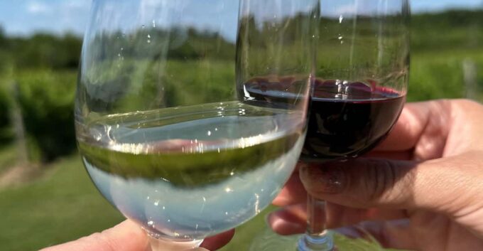 Niagara Falls Wine Tour From Toronto on RV - Motorhome - Tips for an Enjoyable Tour