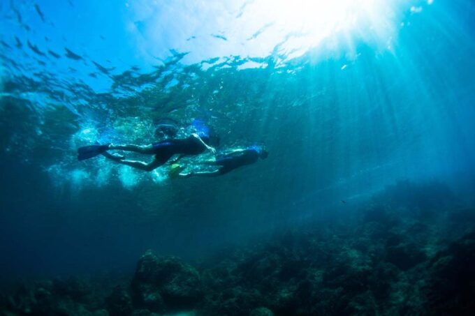 Nice: Speedboat Day Trip With Snorkeling in Villefranche Bay - Availability and Booking