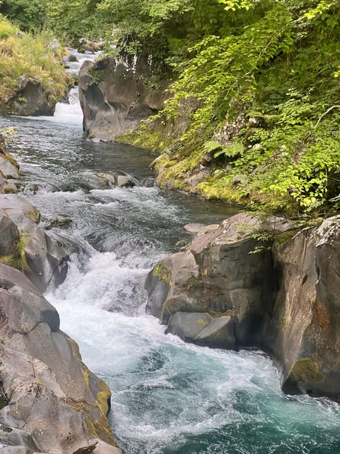 Nikko: Private Guided Tour by Car With English Guide - Flexible Itinerary Options