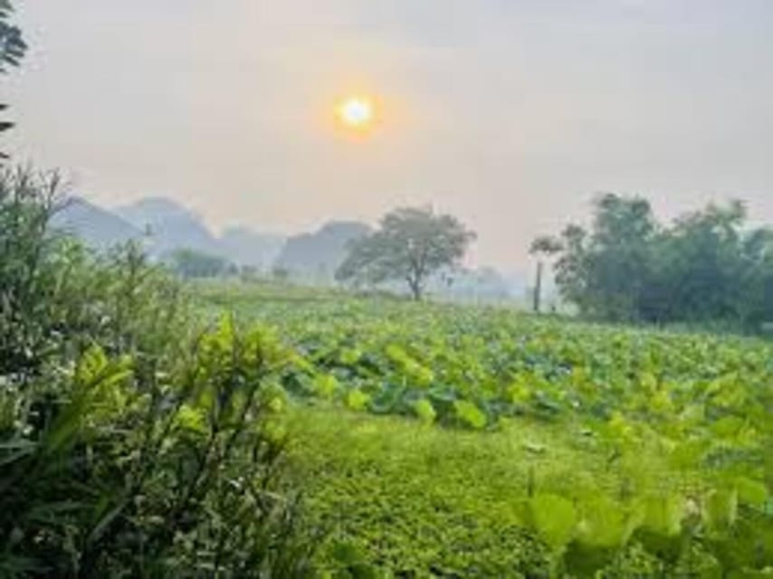 Ninh Binh Sunset Tour And Visit Hoa Lu Ancient Town - Booking and Cancellation Policy