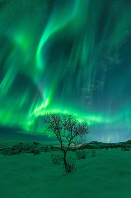 Northern Lights Adventure - Tips for an Unforgettable Experience