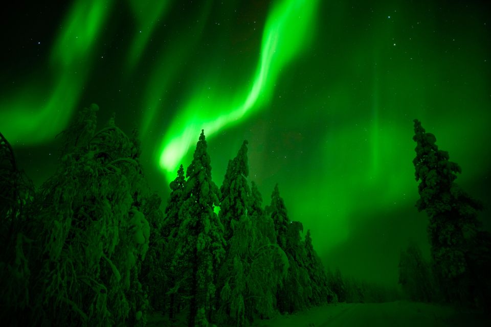 Northern Lights Hunting Adventure in Lapland - Best Times for Northern Lights Viewing