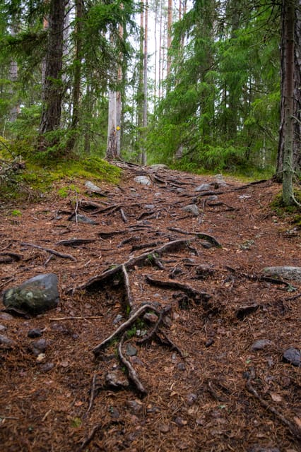 Nuuksio National Park Hiking Experience From Helsinki - Tips for Your Visit