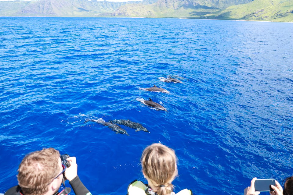 Oahu: Dolphin Watching With Lunch and Ocean Sports - Booking and Cancellation Policy