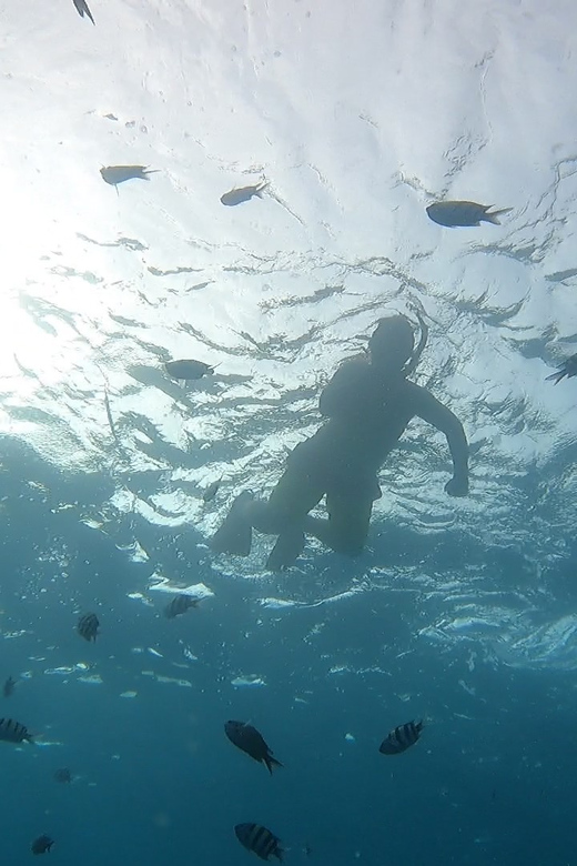 Oahu: Marine Ecology Snorkel Tour - Booking and Cancellation Policy