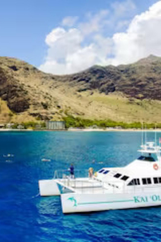 Oahu: Whales Dolphins Snorkeling Cruise With Hawaiian Meal - Booking Information and Options