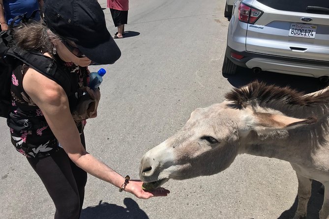 Oatman Mining Camp, Burros, Museums/Scenic RT66 Tour Small Grp - Booking and Additional Tips