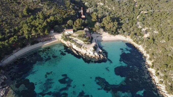 Olbia: Sunset and Dolphin Watching - On-board Offerings