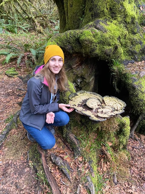 Olympic National Park Tour (Small Group) - Safety and Accessibility