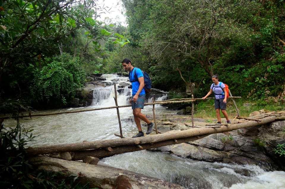 One Day Hiking Tour in Chaing Mai - Best Time to Visit