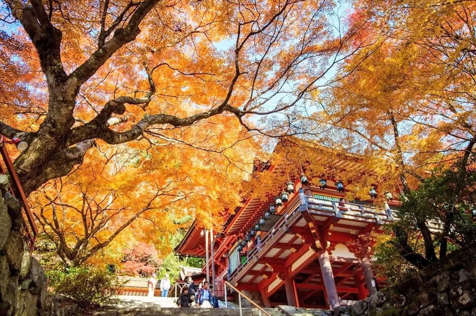 One Day Private Customized Self-Guided Tour in Nara - Tips for a Great Experience