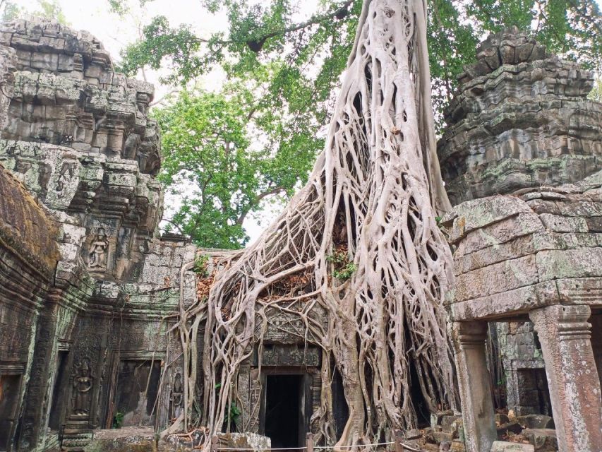 One Day Temple Tour to Angkor Wat, Angkor Thom & Taprohm - Booking and Cancellation Policy