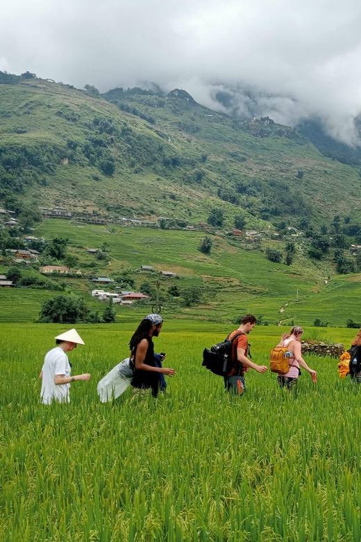 ONE DAY TREK From Sapa to Laochai - Tavan Village With 12KM - Frequently Asked Questions