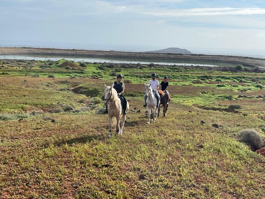 One Hour Horse Riding Tour in Gran Canaria - Suitability and Attire