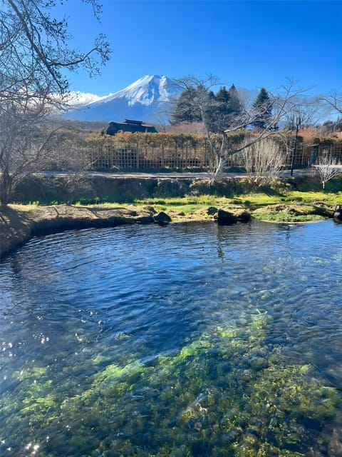 Oshino Hakkai, Ole Hot Spring in Mount Fuji One Day Tour - Frequently Asked Questions