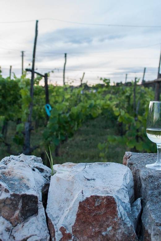 Ostuni Countryside: Wine Tasting and Lunch in a Masseria - Apulian Cuisine and Lunch