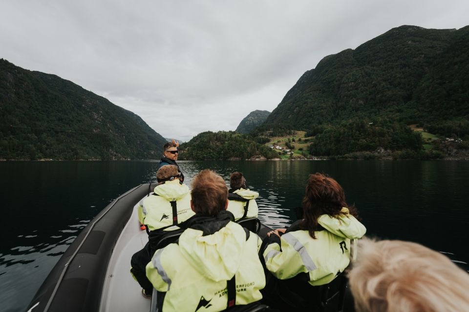 Øystese: Hardangerfjord RIB Safari to the Fyksesund Branch - Tips for a Great Experience