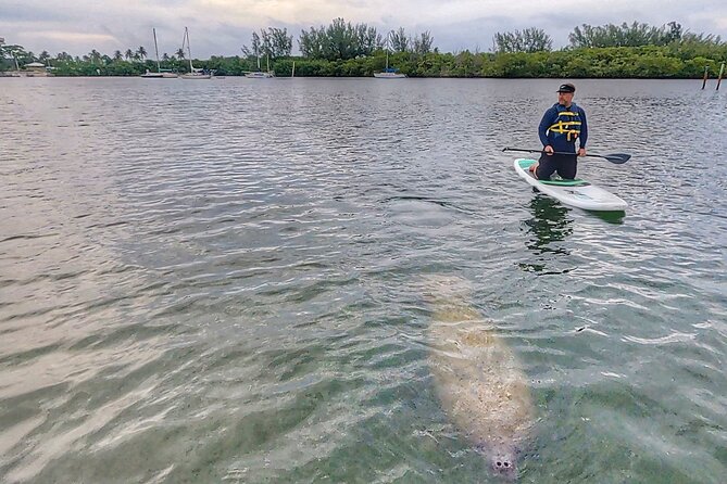 Paddle Boarding Eco Adventure Tour Jupiter Florida - Singer Island - Booking Information