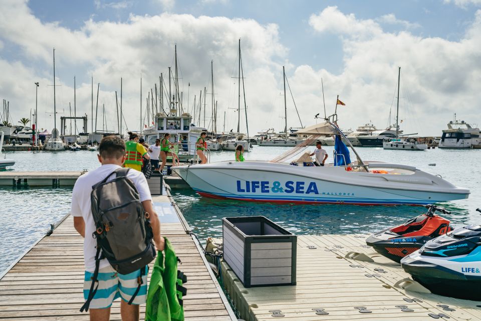 Palma Bay: Parasailing Experience - Daytime or Sunset Flights