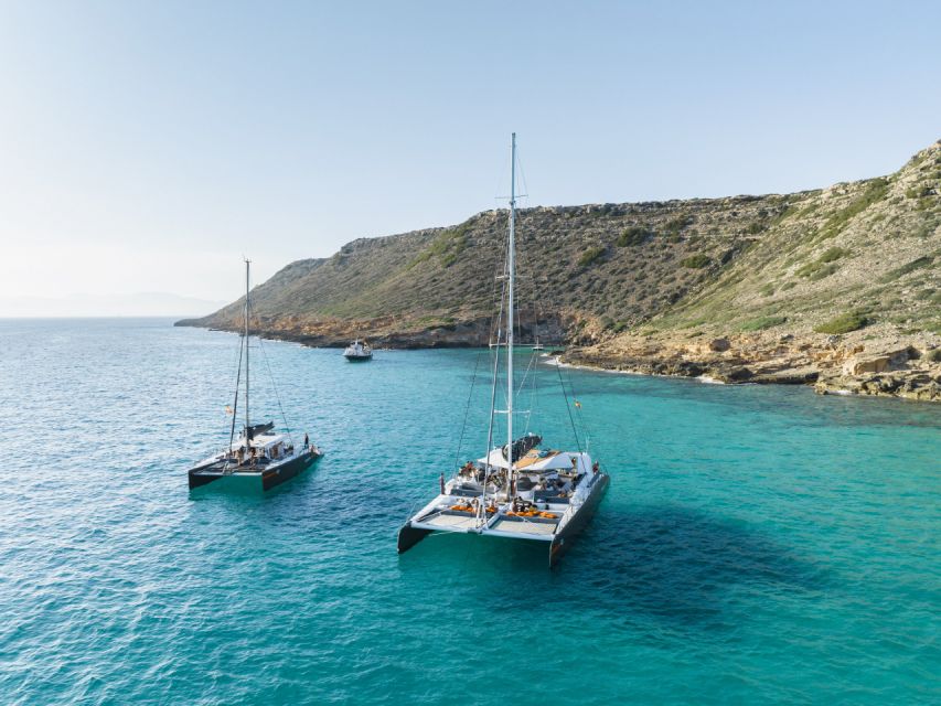 Palma De Mallorca: Half-Day Catamaran Tour With Buffet Meal - Customer Ratings and Feedback