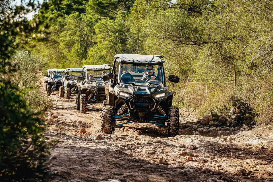 Palma De Mallorca: Off/On Road Buggy Tour With 2 or 4 Seater - Booking and Availability