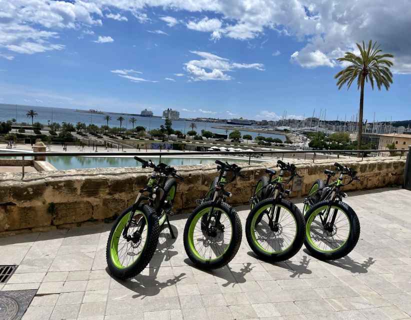 Palma: Guided City Tour With a Fat Tire E-Bike - Frequently Asked Questions