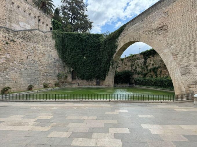 Palma Shore Excursion Bike Tour (Transfer Included) - Cancellation Policy